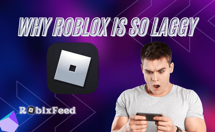 Roblox so Laggy